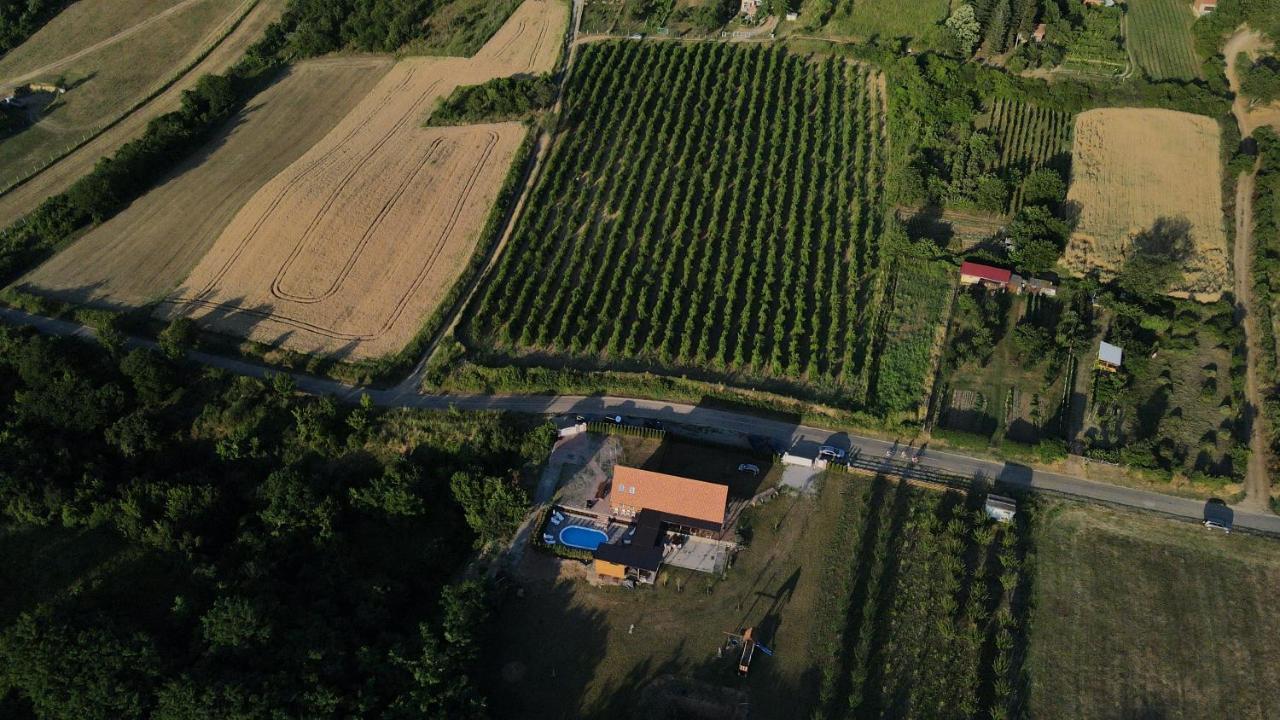 Fruska Villa Sremski Karlovci Exterior photo